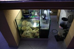 Killikus&reg; Fotographie